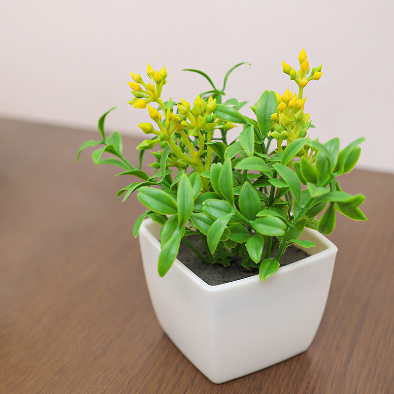 Kleine potplanten met kunstblo - Baby Bookshelf Small recensie en prijs